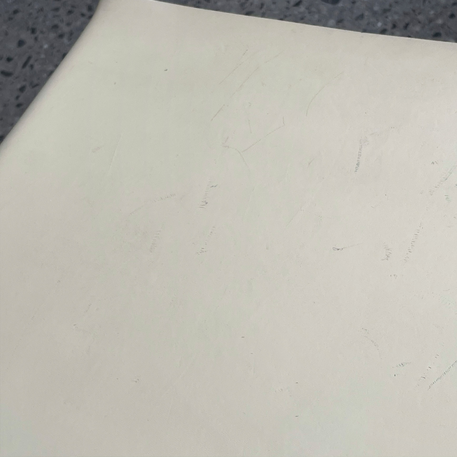 zbliżenie na skóre Mart Stam