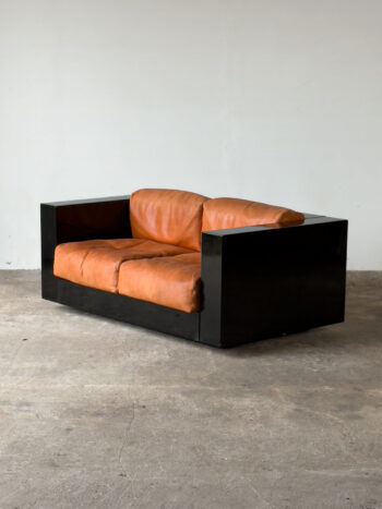 Dwuosobowa sofa Saratoga projektu Vignellich dla Poltronova, widok ogólny